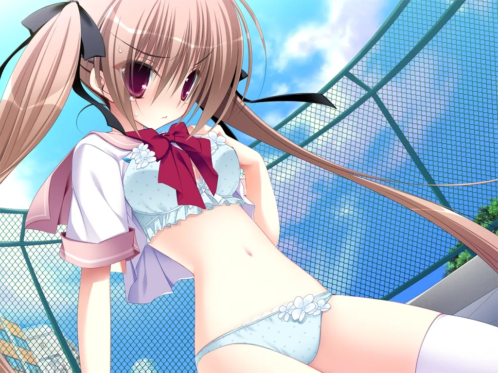 妹的日记 PC+ONS+安卓直装版本 gal类型 第2张 妹的日记 PC+ONS+安卓直装版本 gal类型 第2张