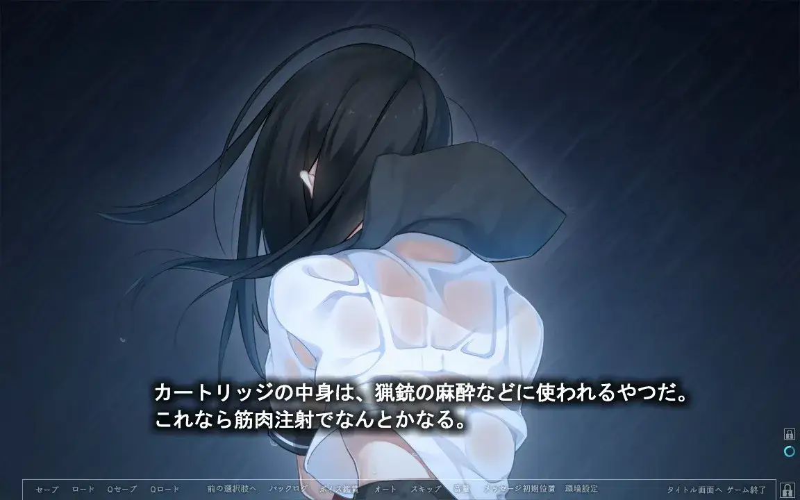 夏ノ鎖 夏之锁 PC平台 gal类型  第4张