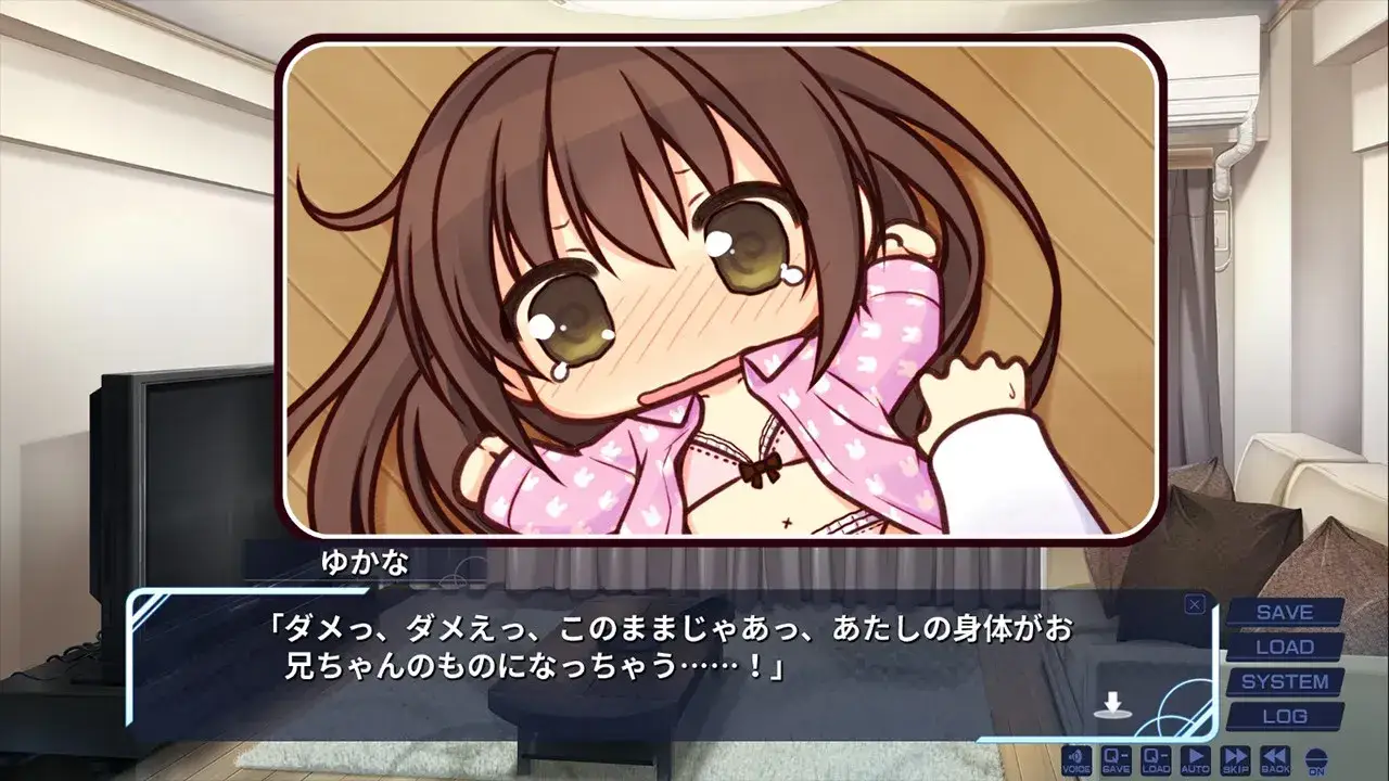 妹のセイイキ 妹的圣域 PC+KRKR平台 gal类型  第3张